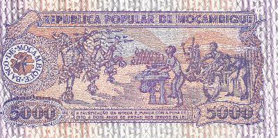 Beschrijving achterzijde: PARTY